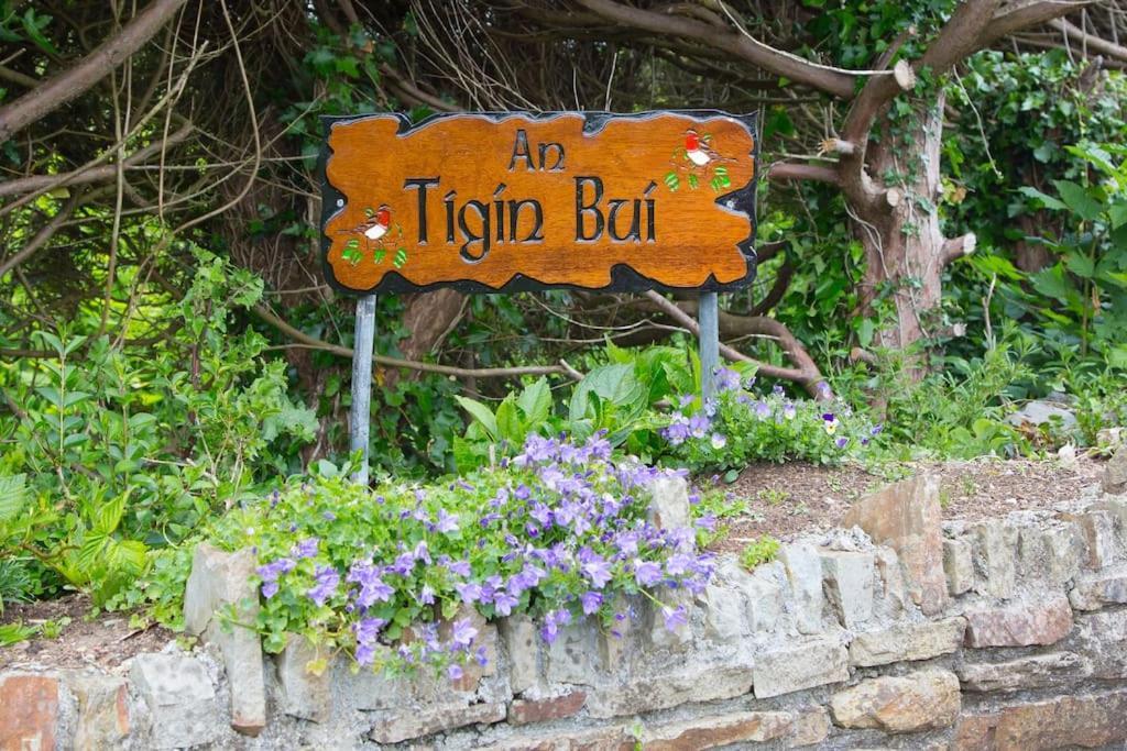 An Tigin Bui Villa Glanbannoo Upper Exterior photo